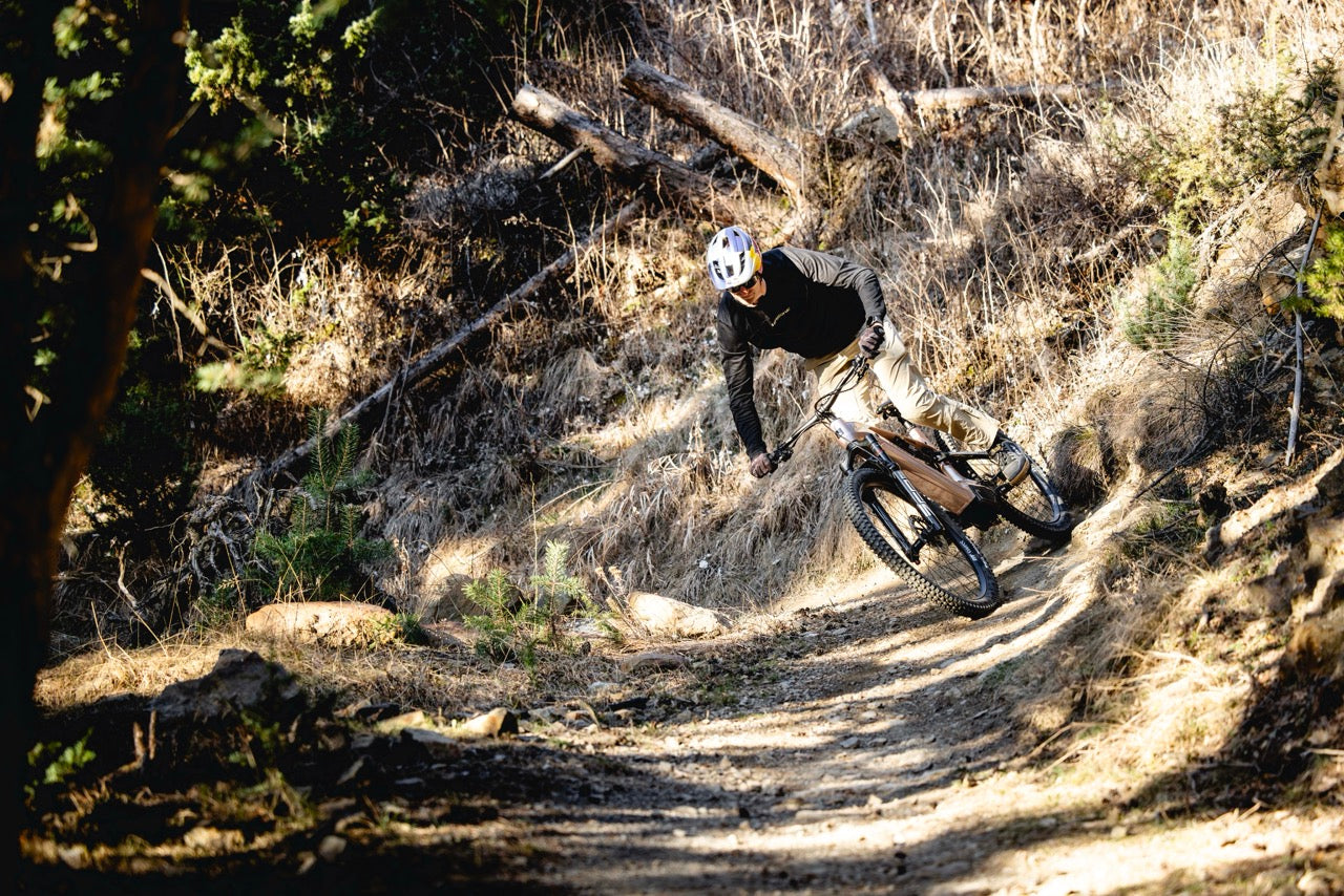 Haibike ALLMTN CF 11 TRN/IQ