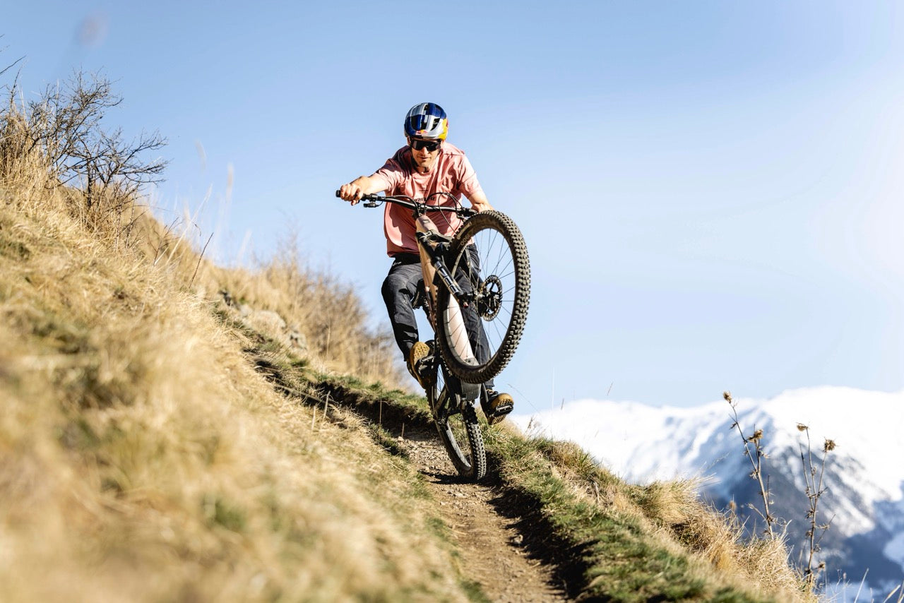 Haibike ALLMTN CF 11 TRN/IQ