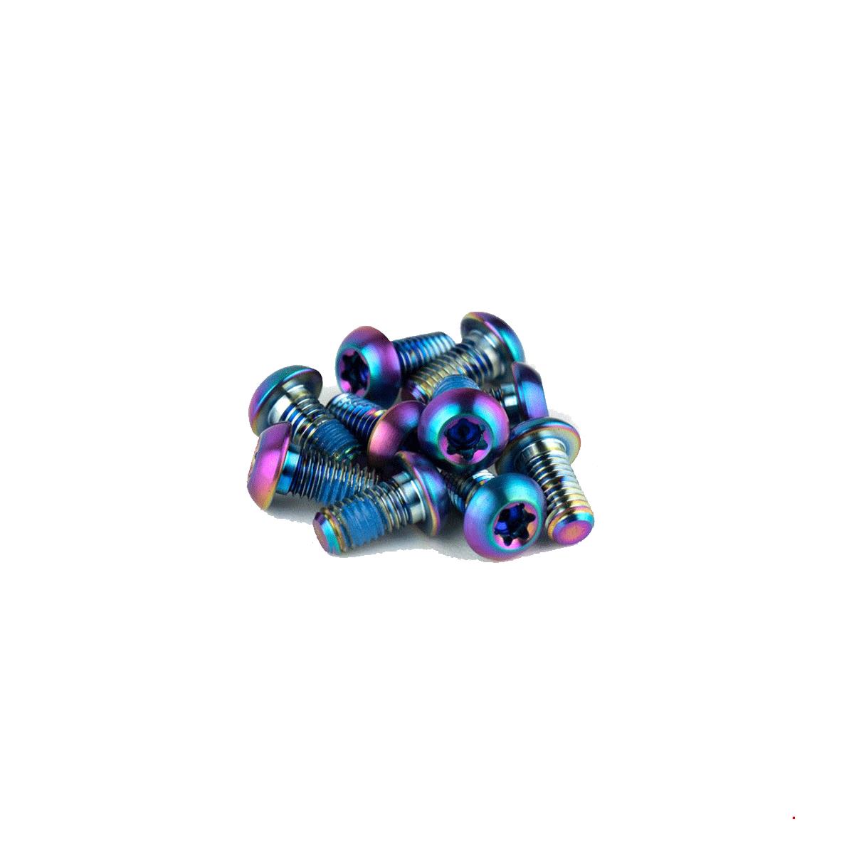 SRAM Rotor Bolt Kit | Power2Cycle Titanium T25 Bolts (Qty 12) | Power2Cycle