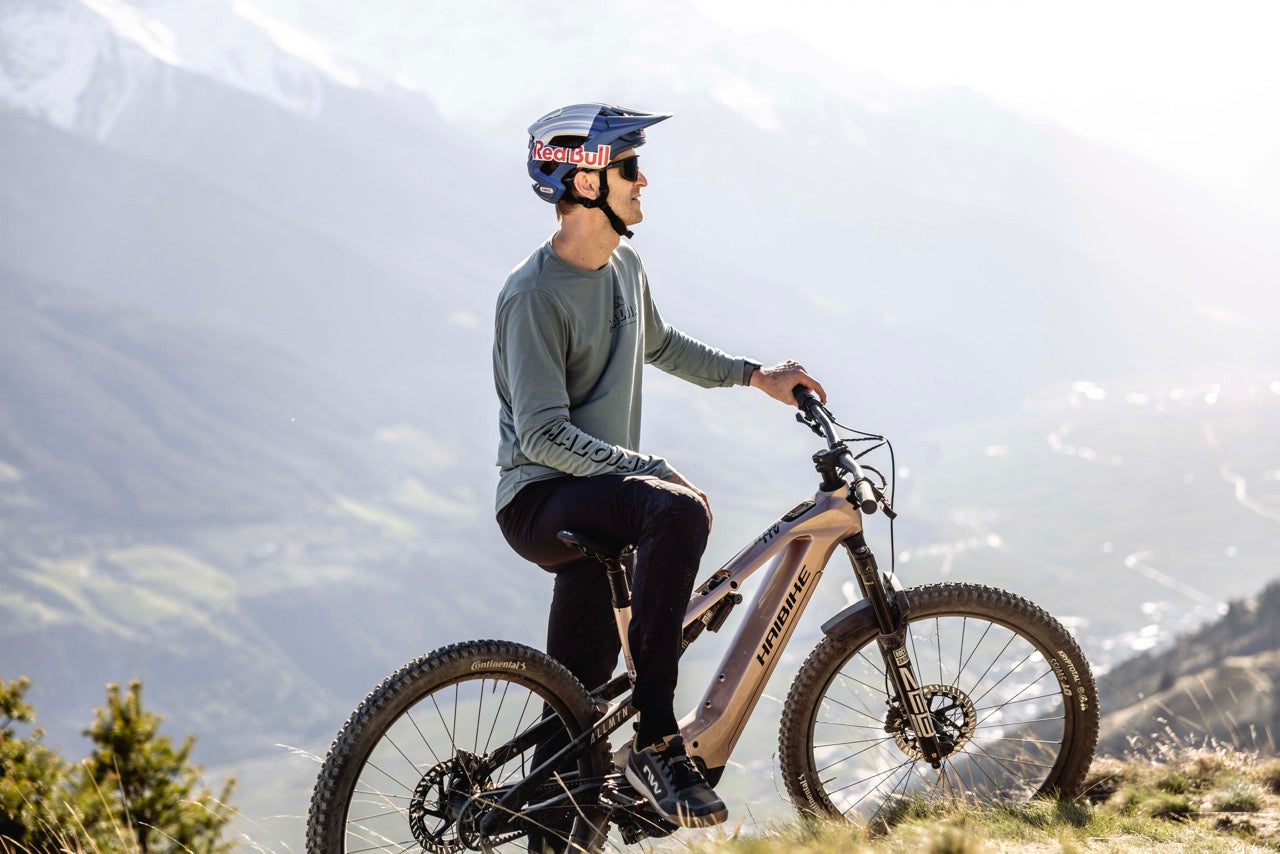 Haibike ALLMTN CF 11 TRN/IQ