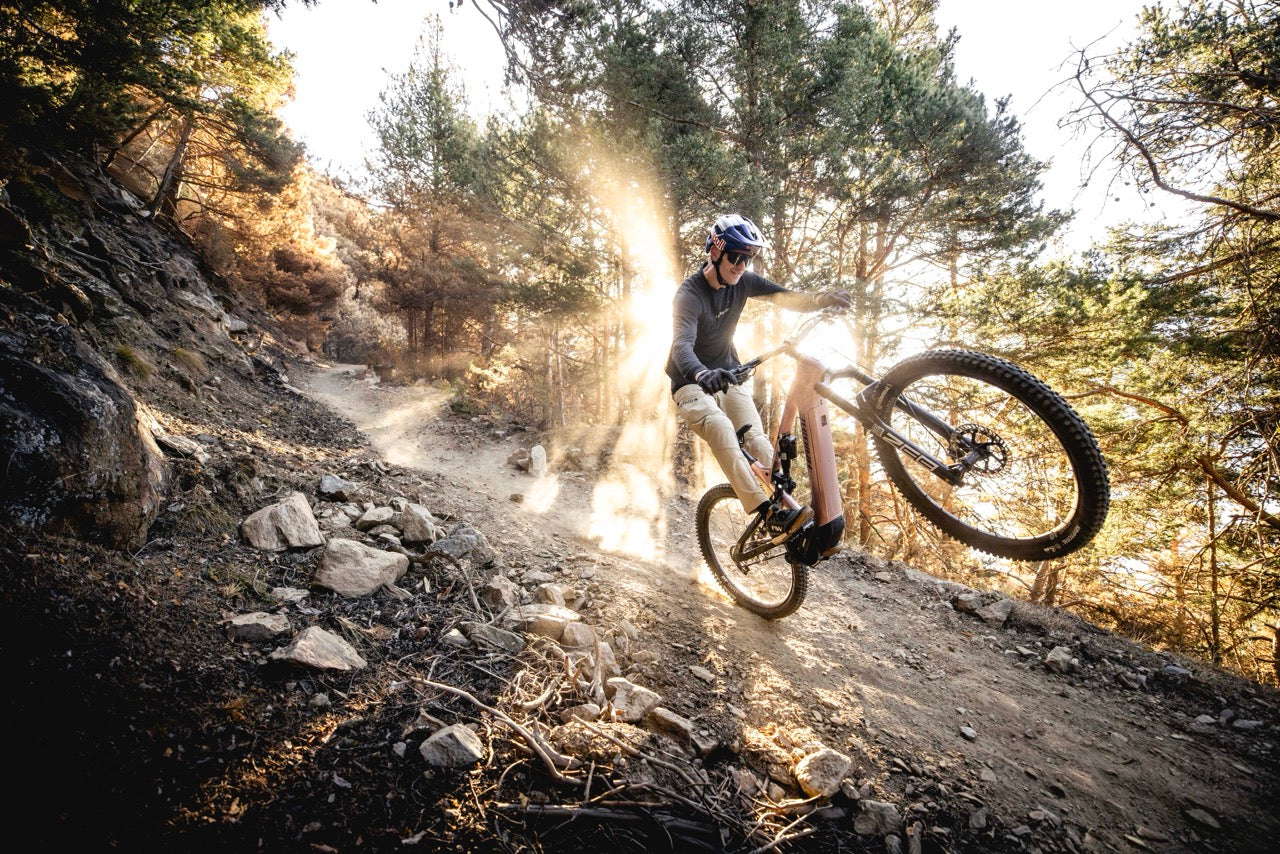 Haibike ALLMTN CF 11 TRN/IQ