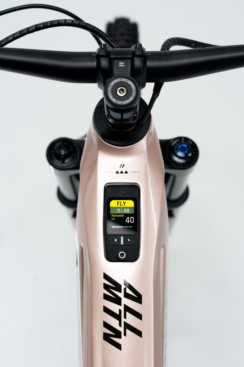 Haibike ALLMTN CF 11 TRN/IQ