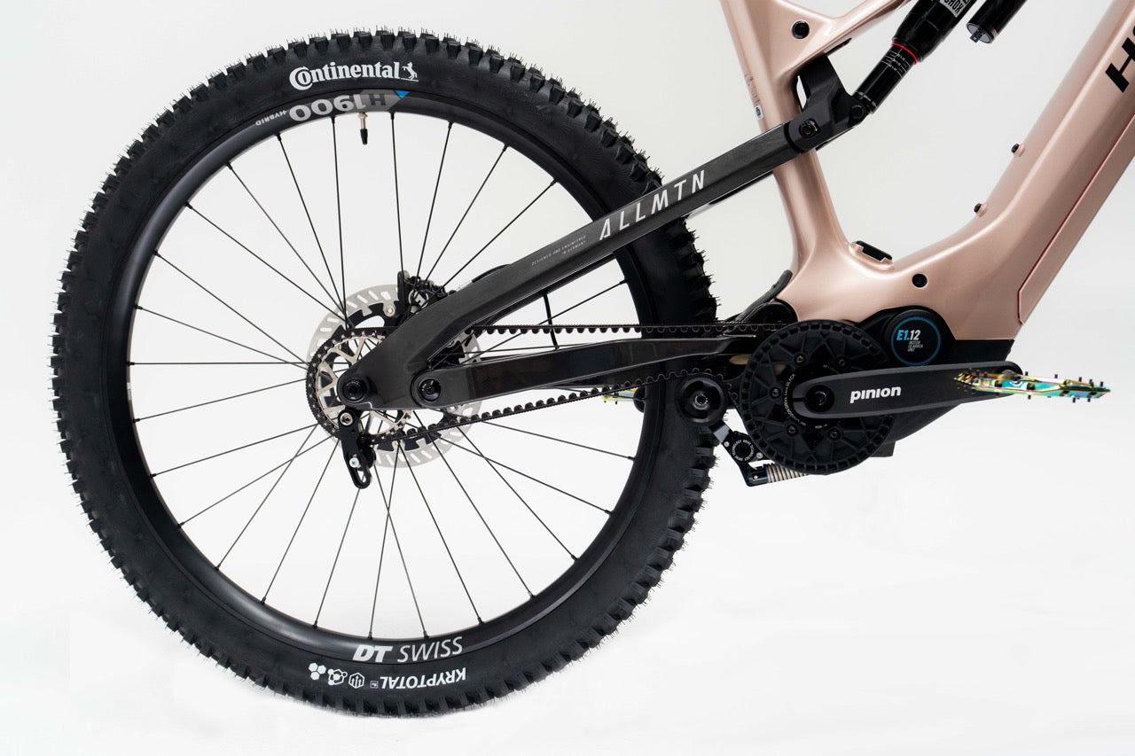 Haibike ALLMTN CF 11 TRN/IQ