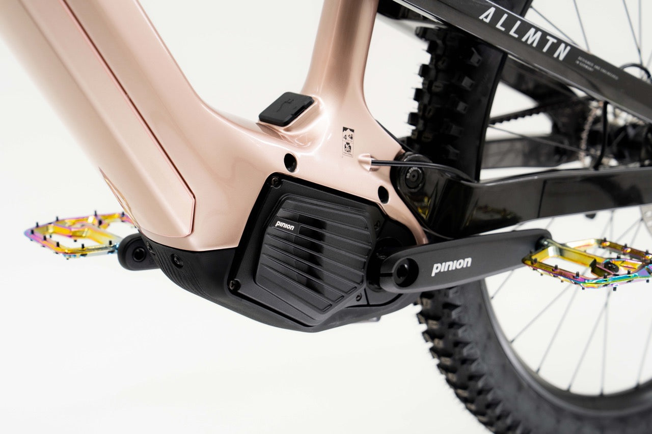 Haibike ALLMTN CF 11 TRN/IQ