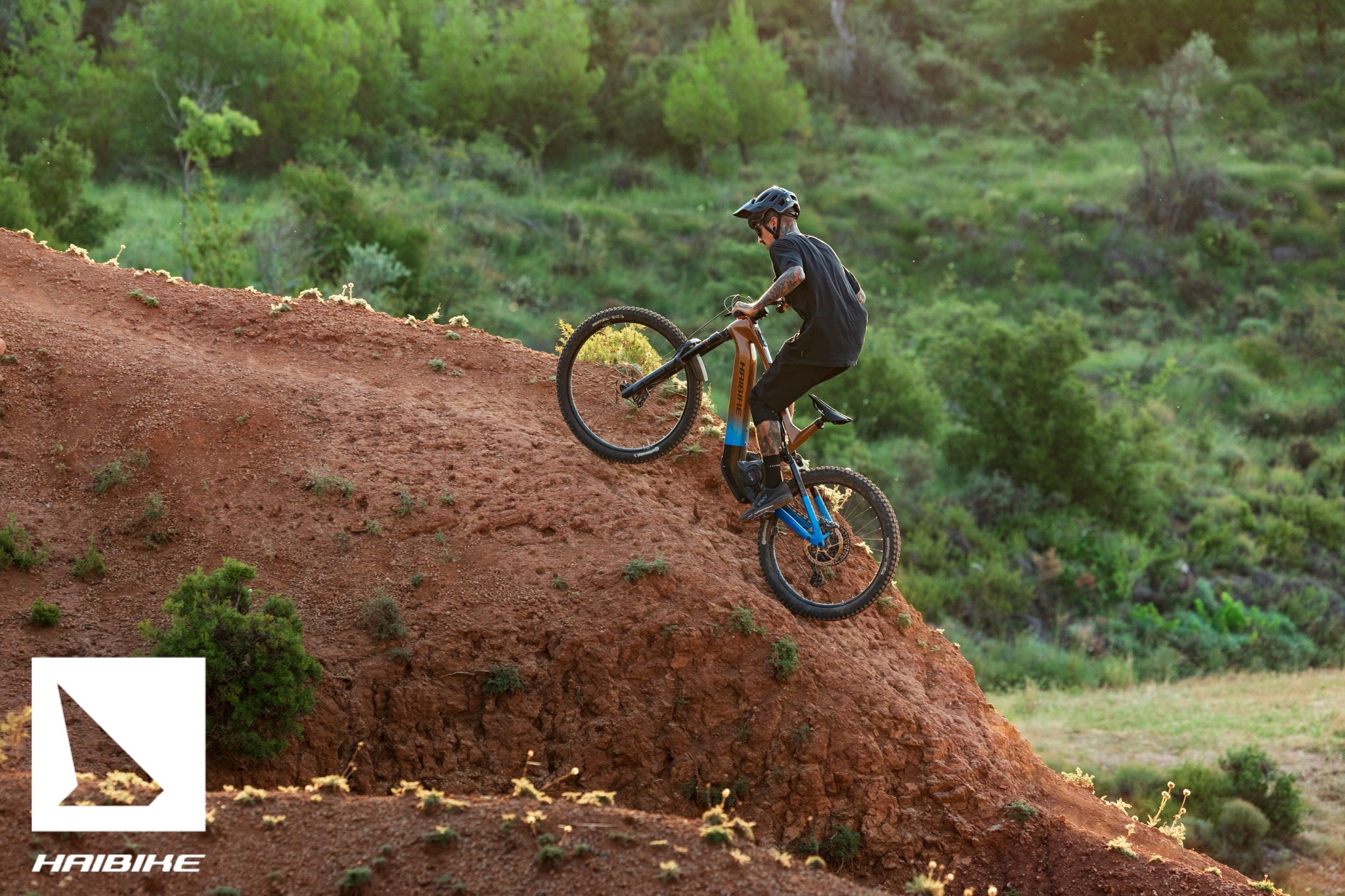 Haibike Hybe CF 9 Bronze