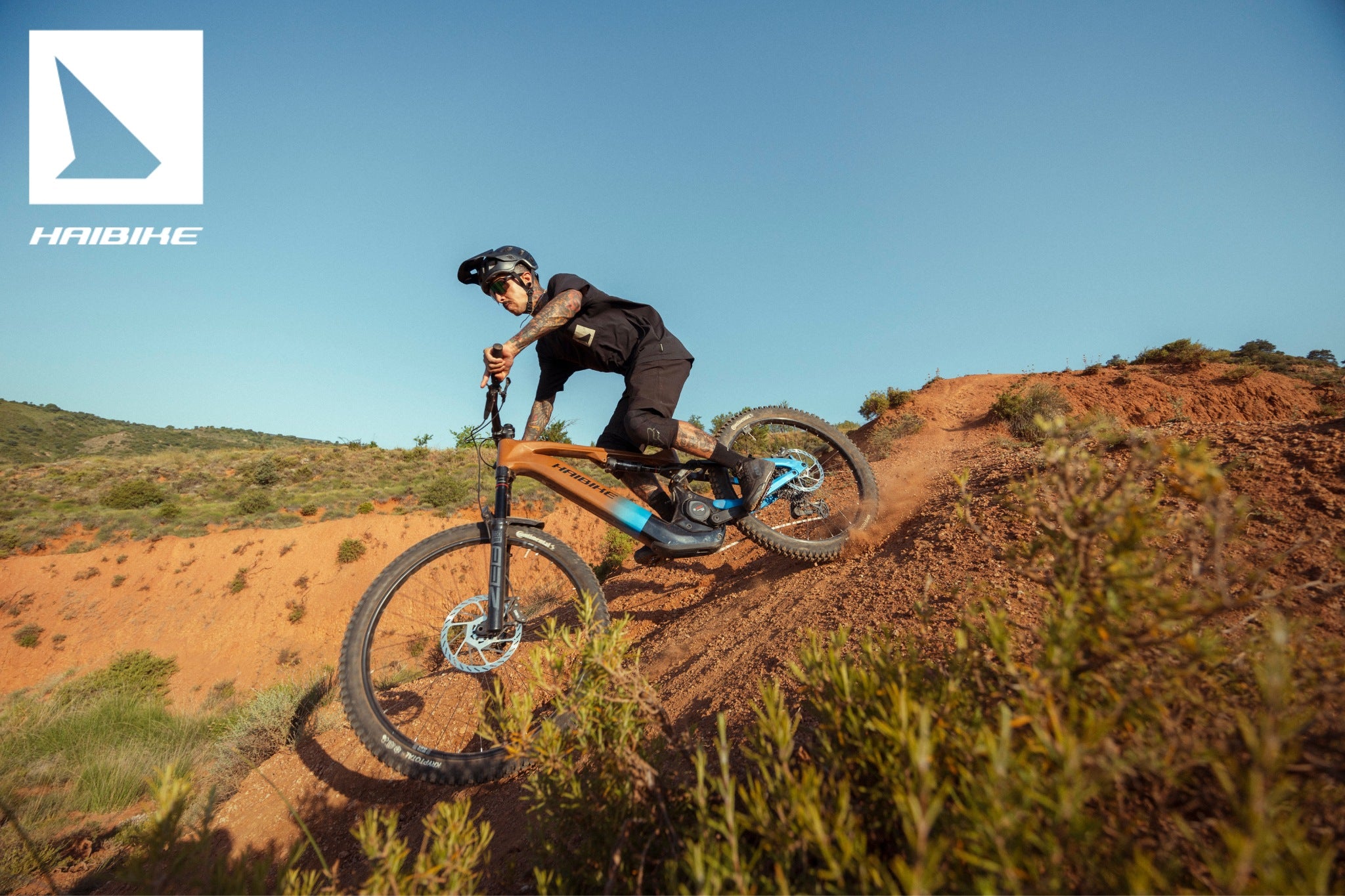 Haibike Hybe CF 9 Bronze