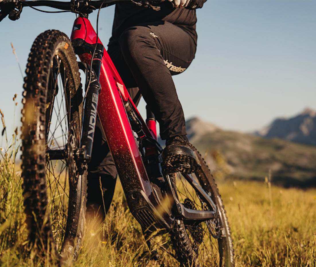 HAIBIKE ALLMTN CF 9 2026