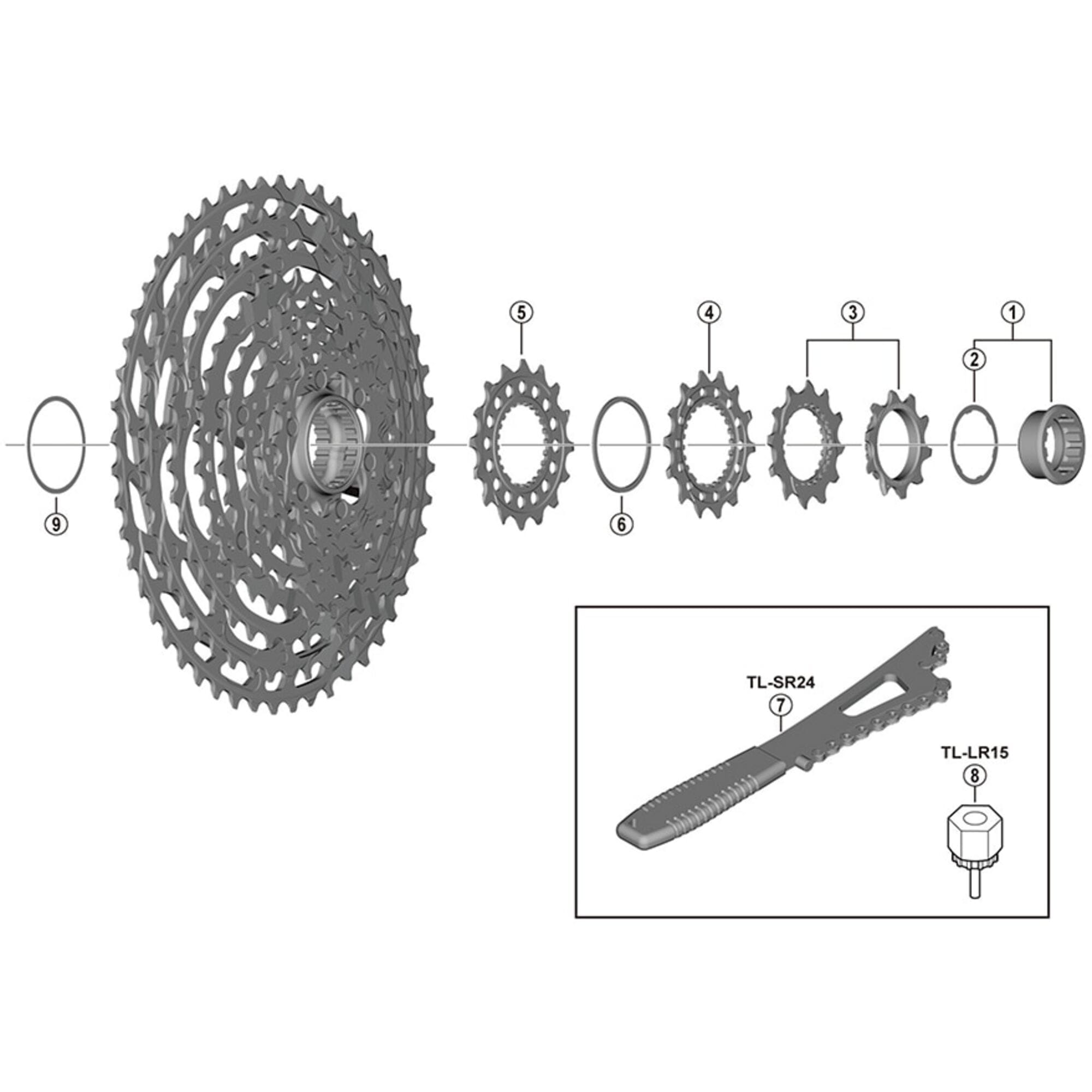 Shimano Spares M9100 sprocket wheel, 10T and 12T