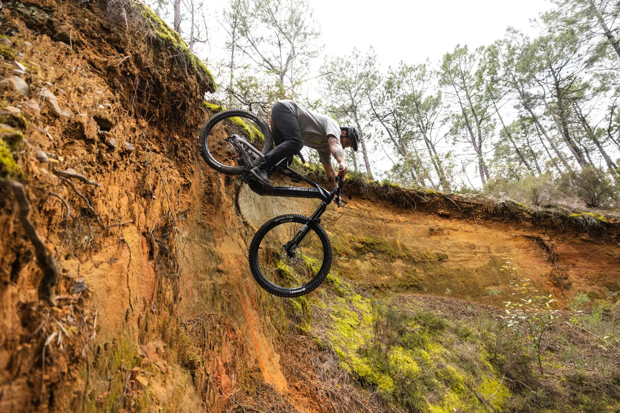 HAIBIKE ALLMTN CF 10 TRN/IQ