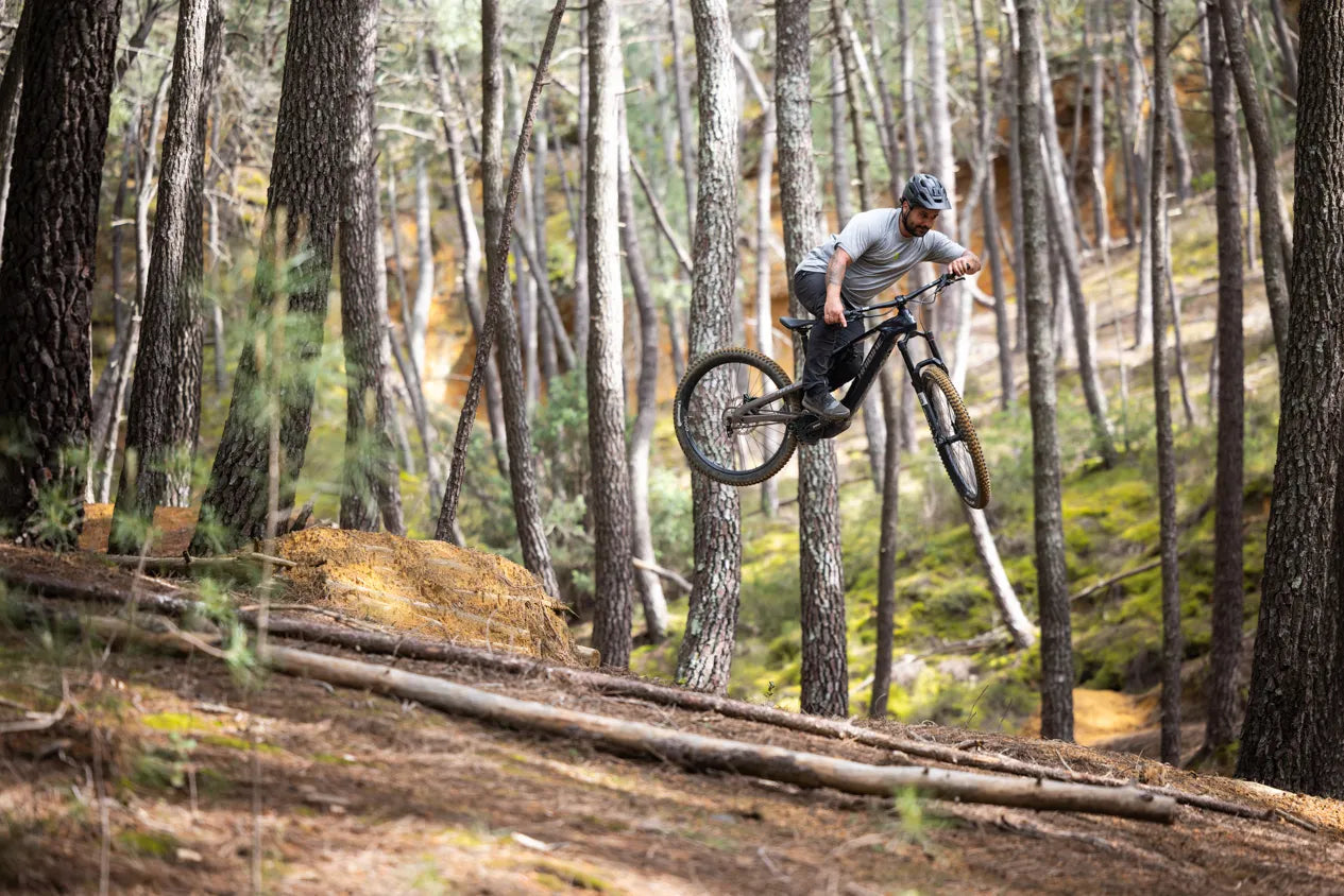 HAIBIKE ALLMTN CF 10 TRN/IQ