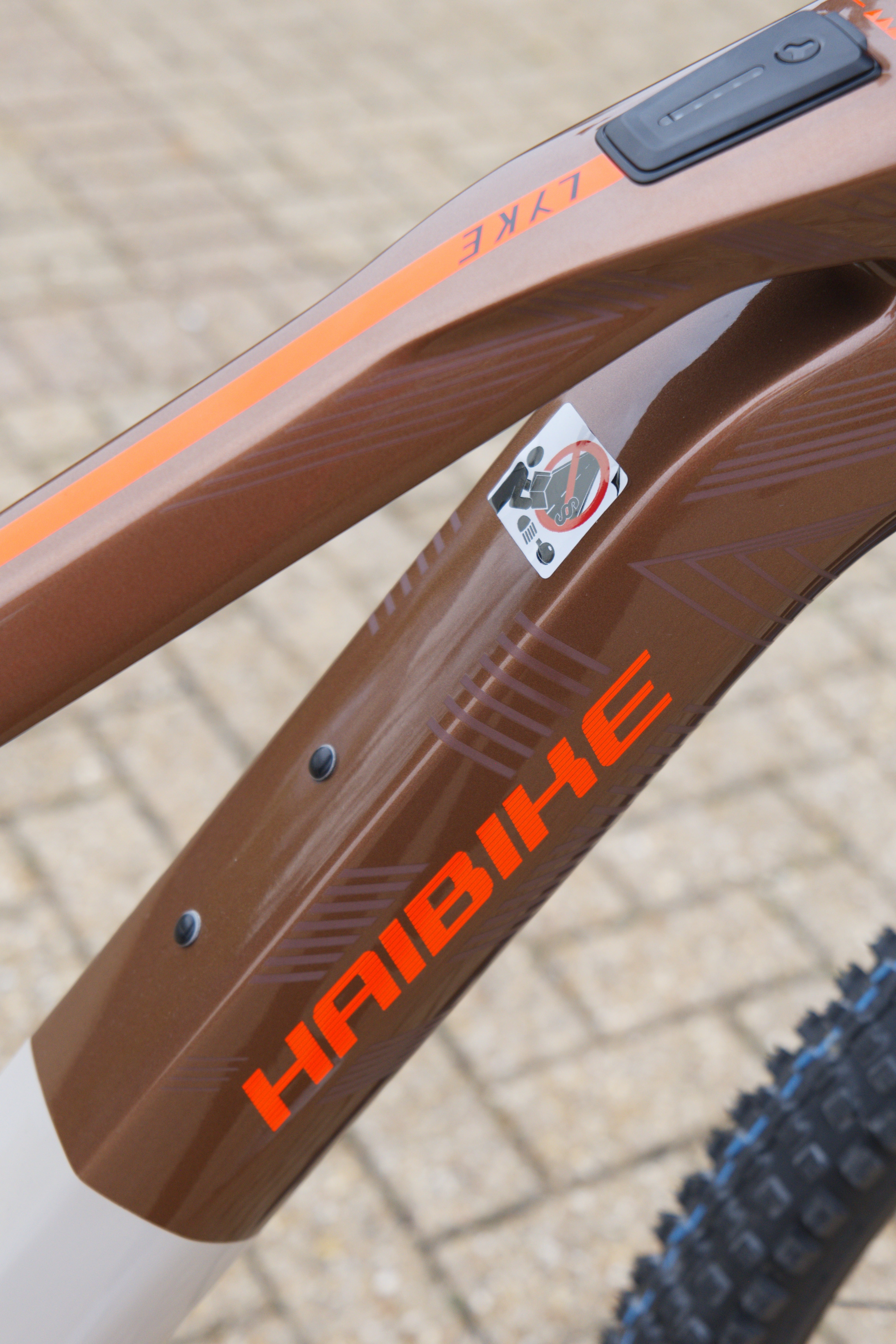 HAIBIKE LYKE 10 2024