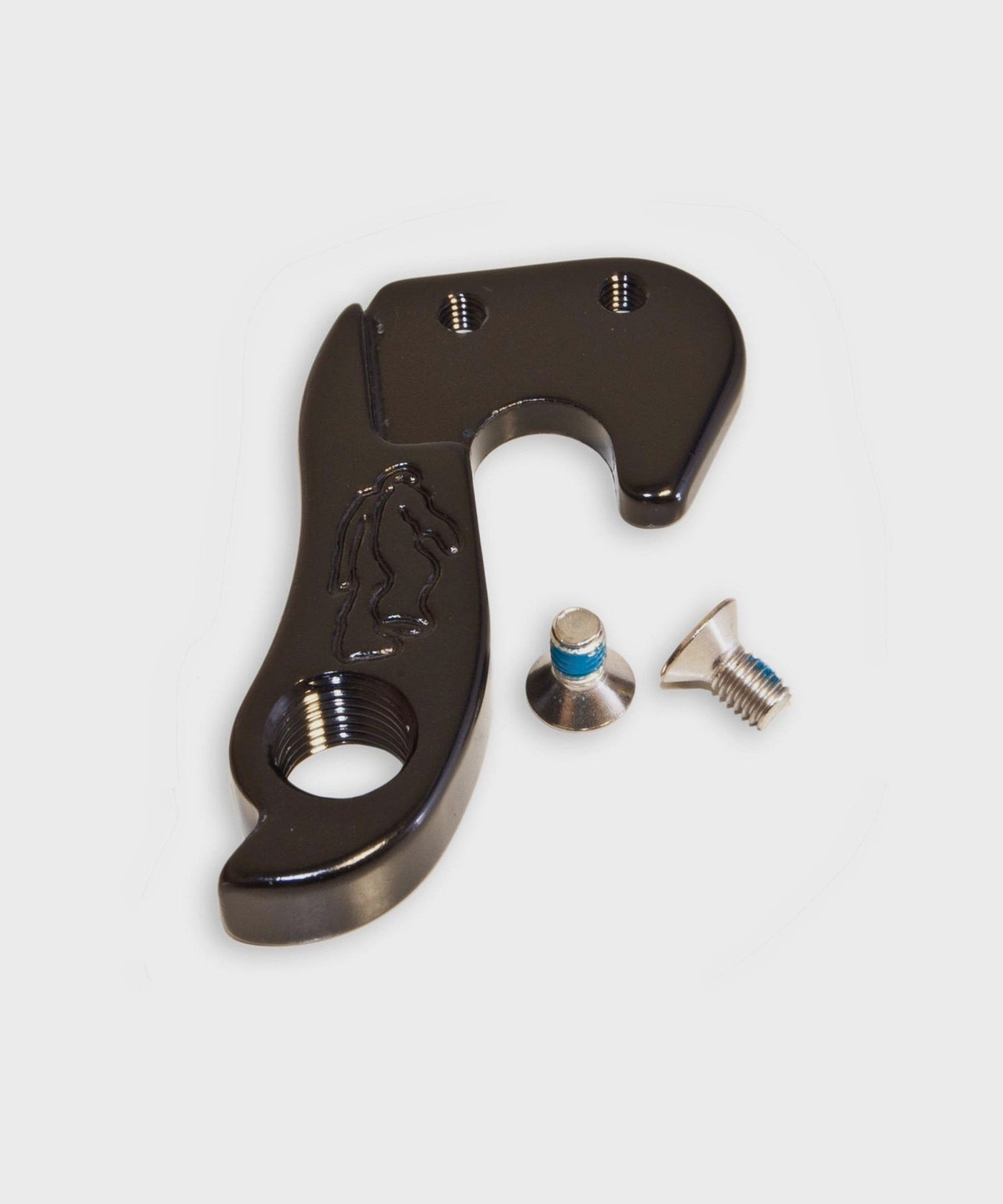Yeti Derailleur Hanger Kit
