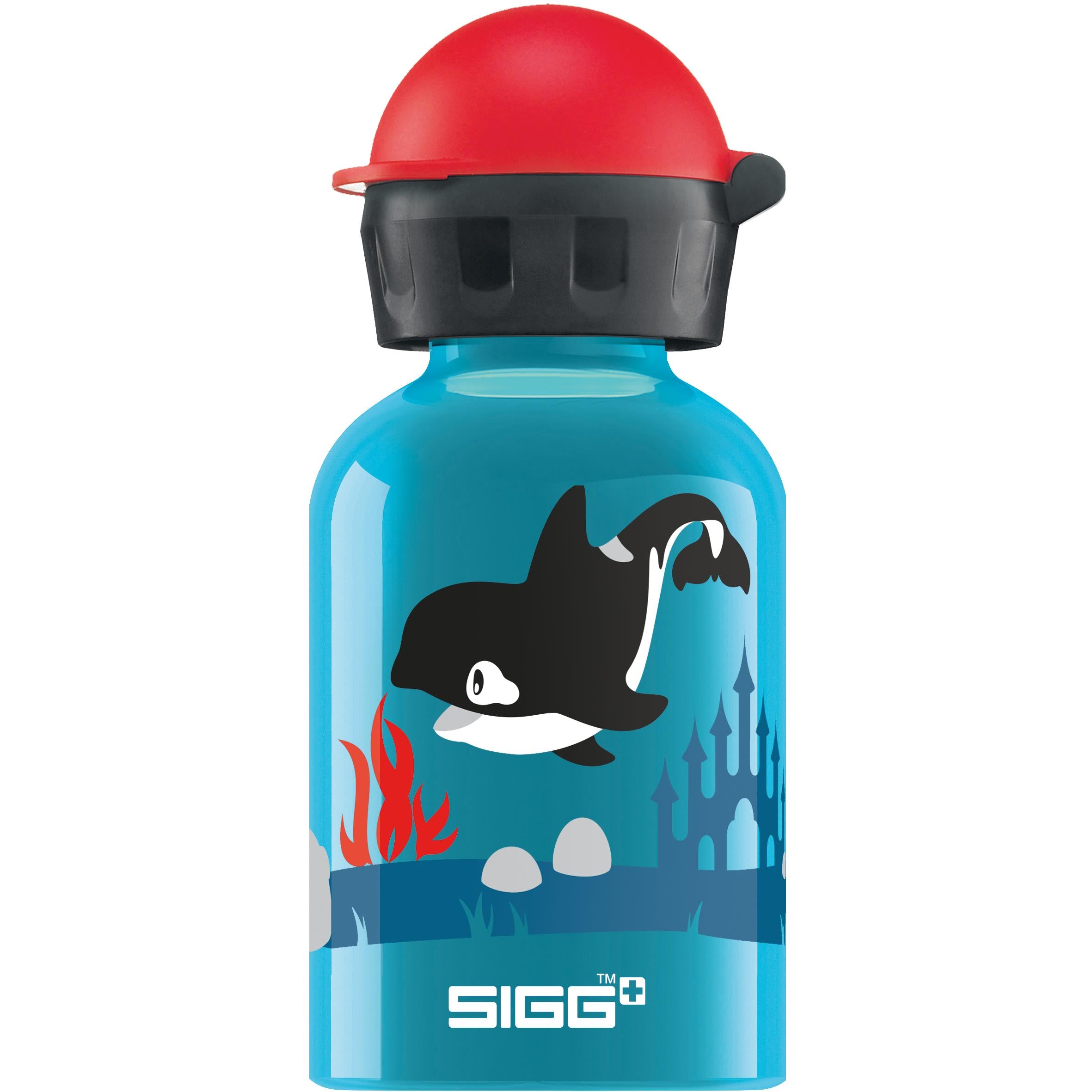 SIGG KBT Bottle | Power2Cycle