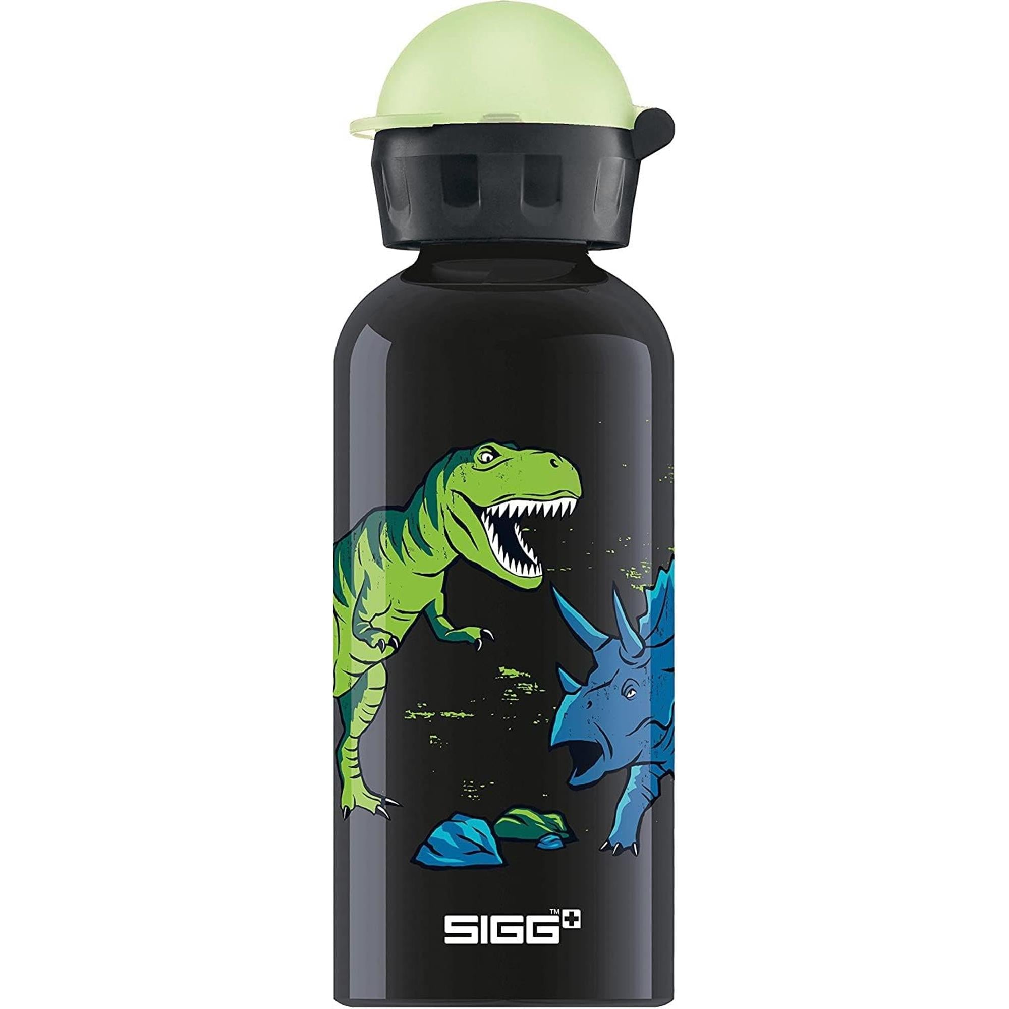 SIGG KBT Bottle | Power2Cycle