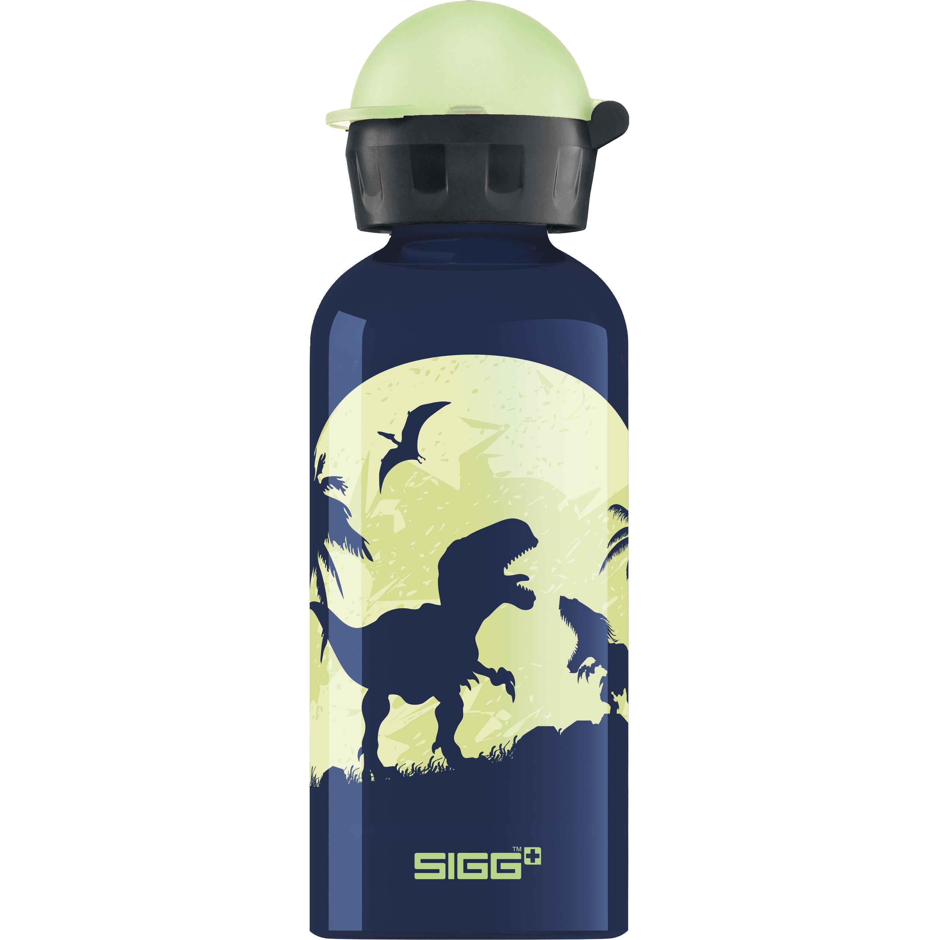SIGG KBT Bottle | Power2Cycle