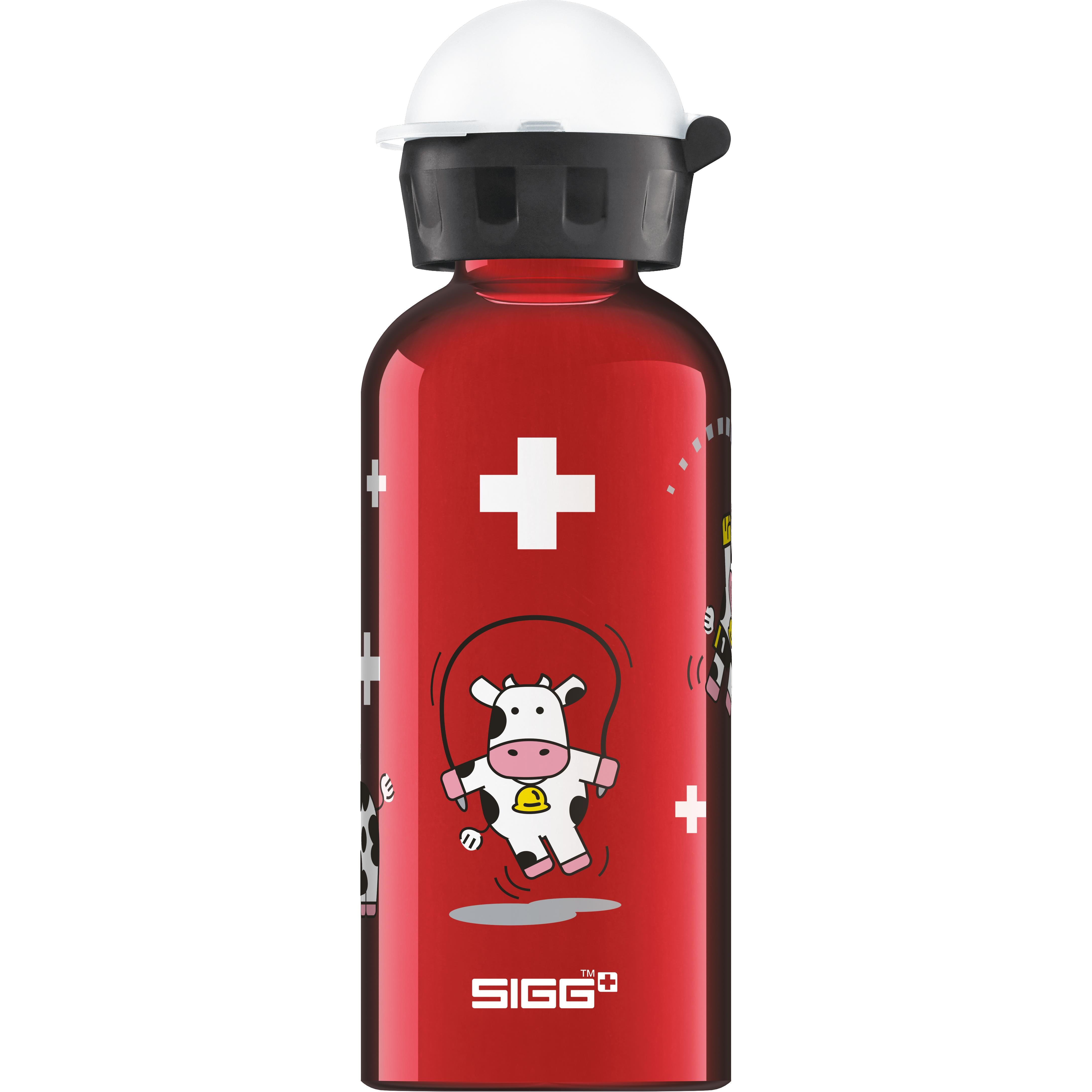 SIGG KBT Bottle | Power2Cycle